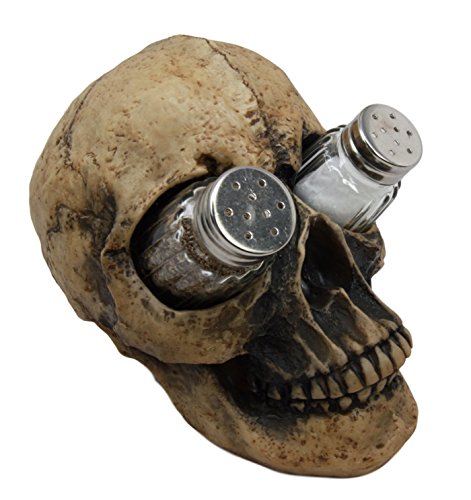 Ebros Gift Ebros Scary Ossuary Human Skull Salt Pepper Shakers Holder Figurine 5.75" H