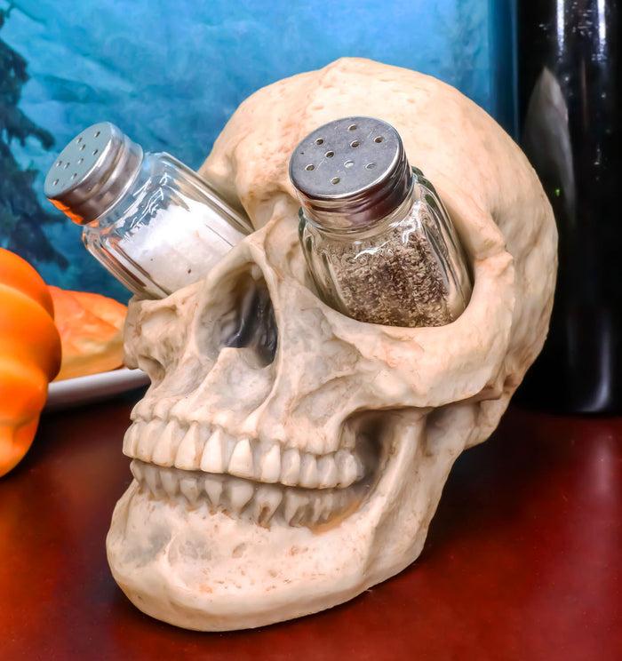 ebros gift Ebros Scary Ossuary Human Skull Salt Pepper Shakers Holder Figurine 5.75" H