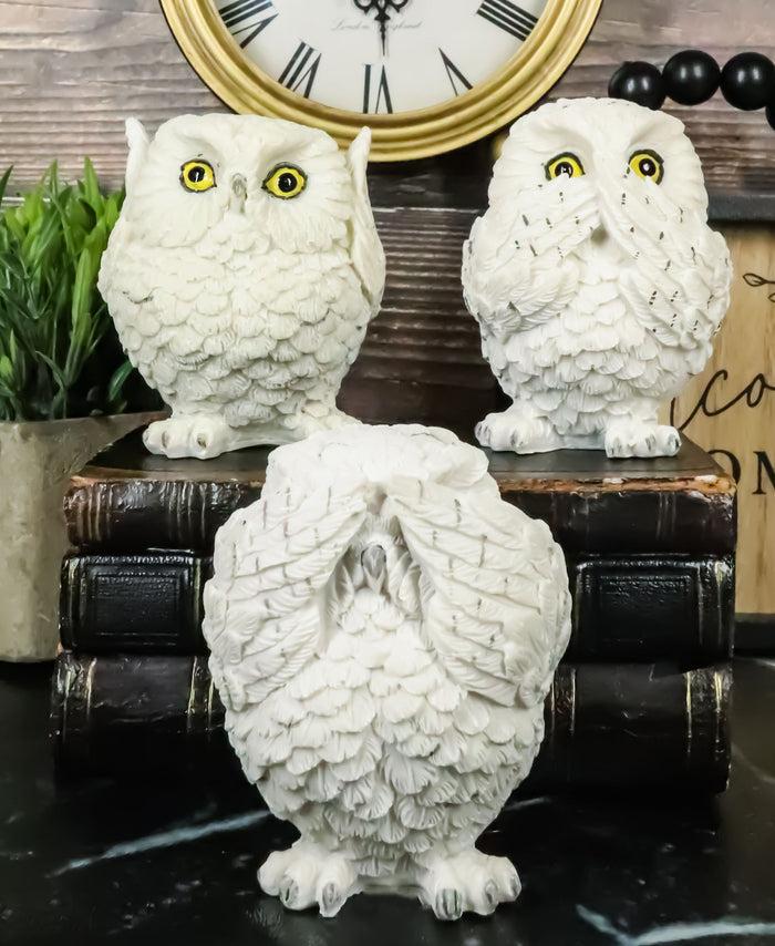 Ebros Gift Ebros See Hear Speak No Evil Fat Baby White Owls Figurines Set Of 3 Mini Decor