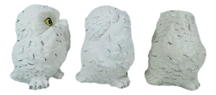 Ebros Gift Ebros See Hear Speak No Evil Fat Baby White Owls Figurines Set Of 3 Mini Decor
