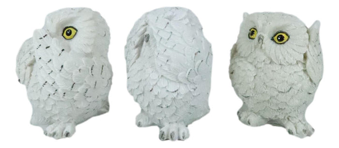 Ebros Gift Ebros See Hear Speak No Evil Fat Baby White Owls Figurines Set Of 3 Mini Decor