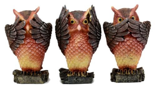 ebros gift Ebros See Hear Speak No Evil Forest Owls Figurine Set Wisdom Of The Woods Decor