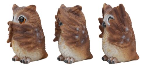 Ebros Gift Ebros See Hear Speak No Evil Wise Owls Decor Set Wisdom Of The Woods Owl Hoot