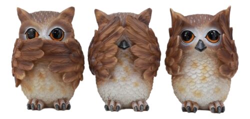 Ebros Gift Ebros See Hear Speak No Evil Wise Owls Decor Set Wisdom Of The Woods Owl Hoot