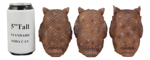 Ebros Gift Ebros See Hear Speak No Evil Wise Owls Decor Set Wisdom Of The Woods Owl Hoot