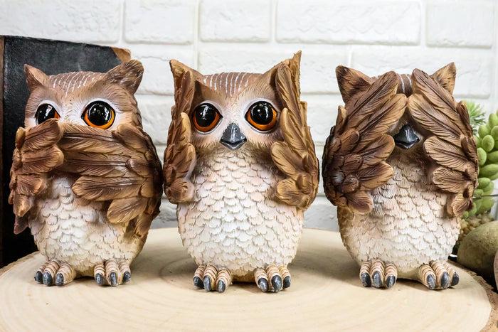 ebros gift Ebros See Hear Speak No Evil Wise Owls Decor Set Wisdom Of The Woods Owl Hoot