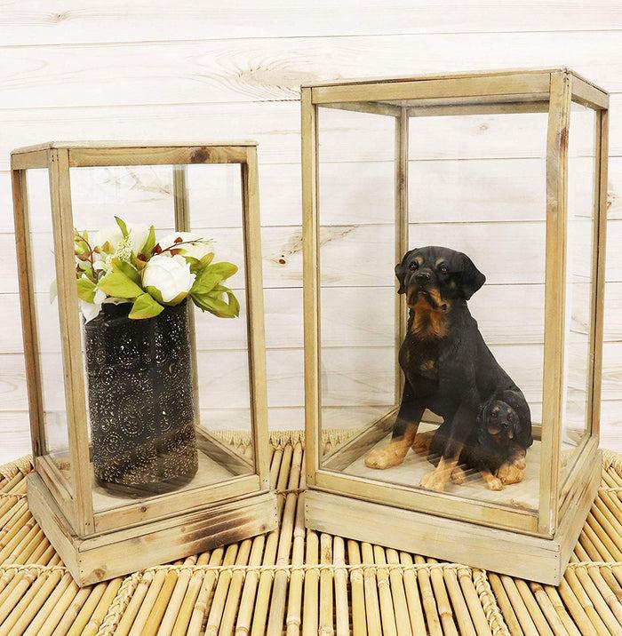 ebros gift Ebros Set of 2 Large Rustic Clear Glass Display Boxes with Natural Wood Frames