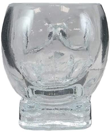 Ebros Gift Ebros Set Of 2 Translucent Acrylic Skeleton Skull Face Liquor Shot Glass Shooters