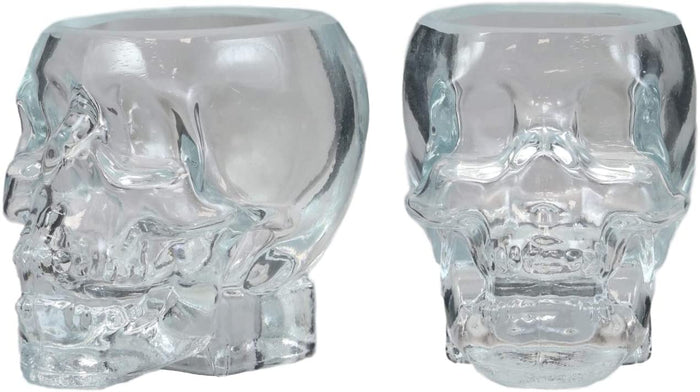 ebros gift Ebros Set of 2 Translucent Acrylic Skeleton Skull Face Liquor Shot Glass Shooters