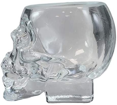 Ebros Gift Ebros Set Of 4 Translucent Acrylic Skeleton Skull Face Liquor Shot Glass Shooters