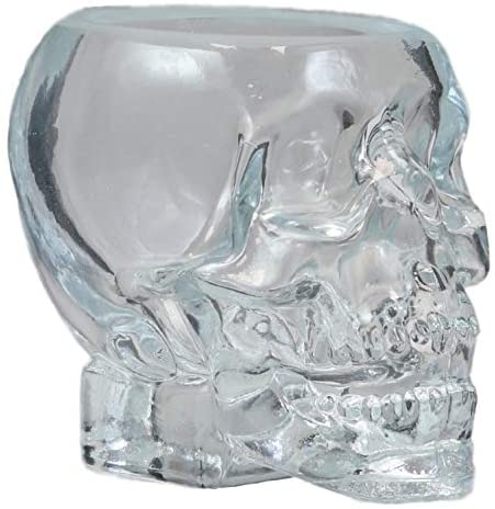 Ebros Gift Ebros Set Of 4 Translucent Acrylic Skeleton Skull Face Liquor Shot Glass Shooters