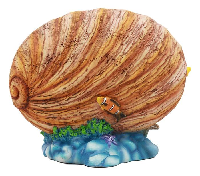 Ebros Gift Ebros Sheila Wolk Mermaid Pearl Sleeping Mermaid Inside An Oyster Shell Statue