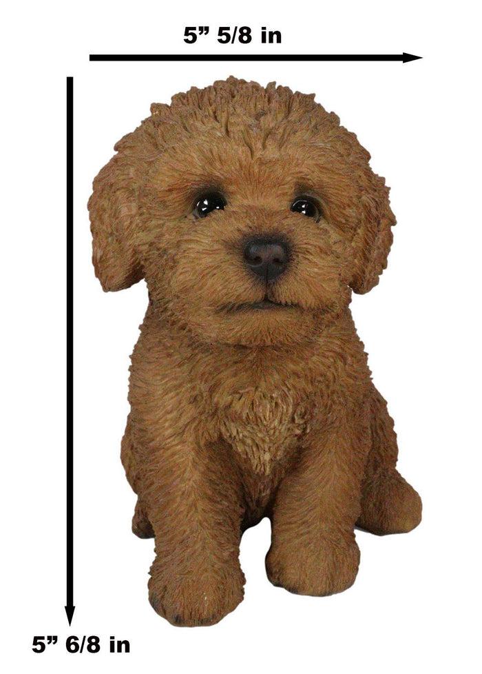 Ebros Gift Ebros Sitting Lifelike Realistic Brown Bichon Frise Puppy Dog Statue 6.75" High