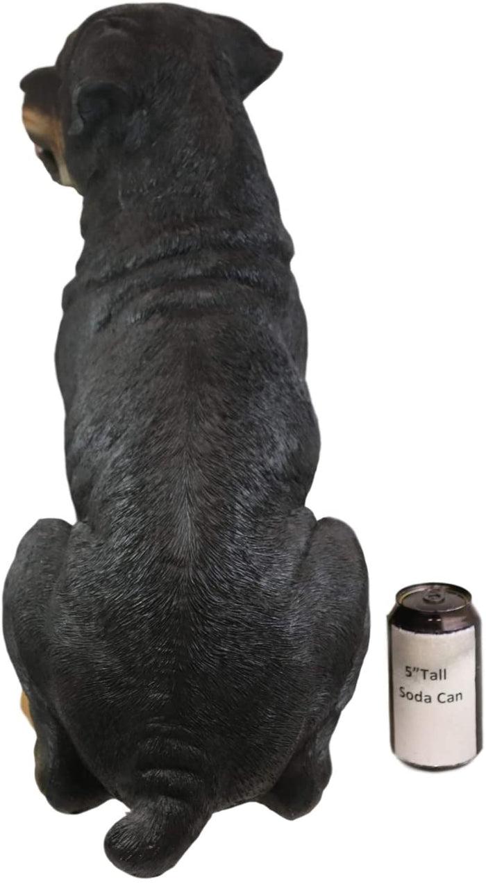 Ebros Gift Ebros Sitting Rottie Rottweiler Dog Statue 21" Tall With Glass Eyes Collectible