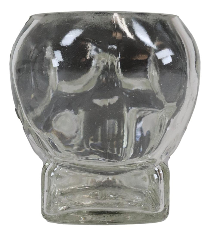 Ebros Gift Ebros Skeleton Skull Glass Bowl Drink Stationery Office Holder Figurine Collectible