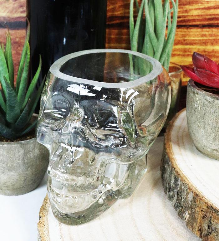 ebros gift Ebros Skeleton Skull Glass Bowl Drink Stationery Office Holder Figurine Collectible