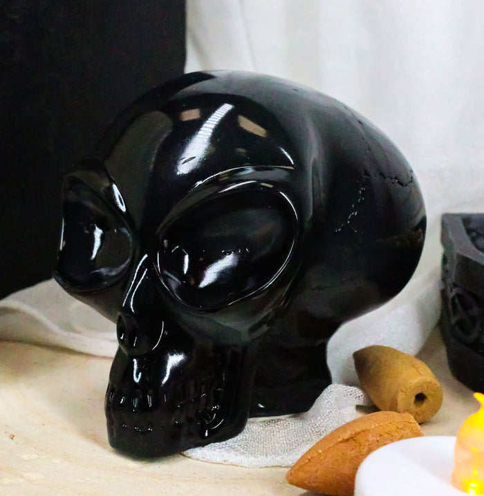 ebros gift Ebros Small Black Translucent Extraterrestrial ET Alien Skull Figurine Collectible