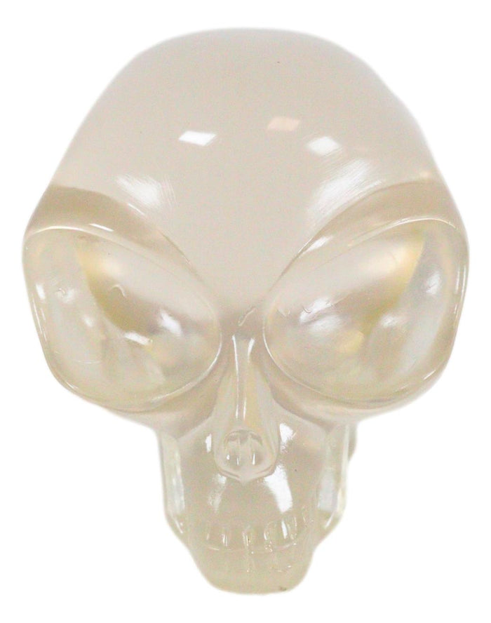 Ebros Gift Ebros Small Clear Translucent Extraterrestrial ET Alien Skull Sculpture Predator UFO Cranium Statue Collectible 3.5"L