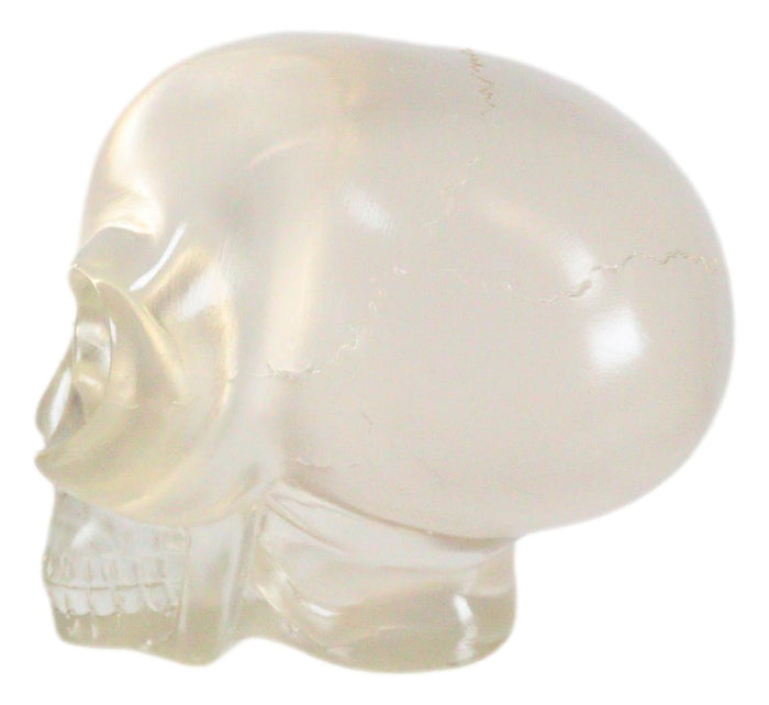 Ebros Gift Ebros Small Clear Translucent Extraterrestrial ET Alien Skull Sculpture Predator UFO Cranium Statue Collectible 3.5"L
