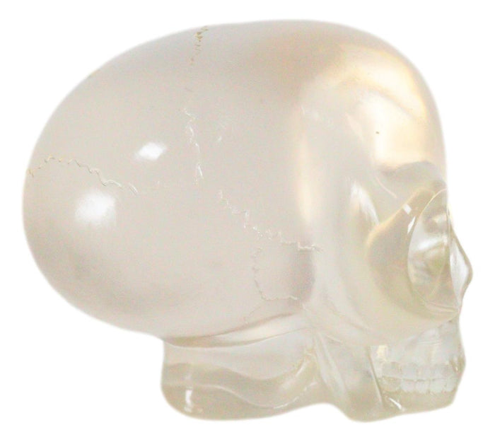 Ebros Gift Ebros Small Clear Translucent Extraterrestrial ET Alien Skull Sculpture Predator UFO Cranium Statue Collectible 3.5"L
