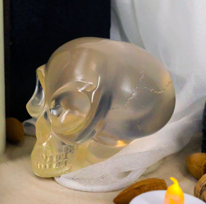 ebros gift Ebros Small Clear Translucent Extraterrestrial ET Alien Skull Sculpture Predator UFO Cranium Statue Collectible 3.5"L