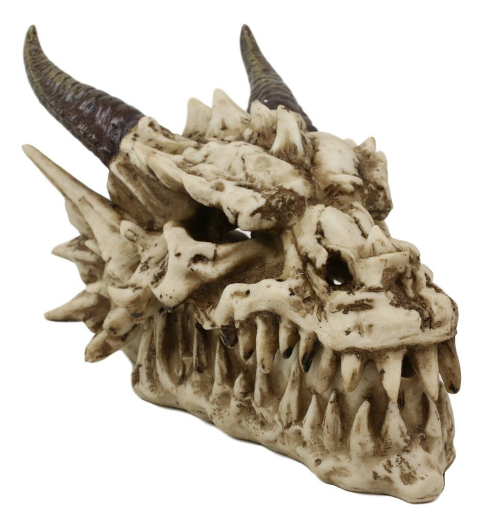 Ebros Gift Ebros Smoking Nostrils And Eyes Skeleton Dragon Skull Incense Stick Burner Box