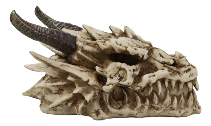 Ebros Gift Ebros Smoking Nostrils And Eyes Skeleton Dragon Skull Incense Stick Burner Box