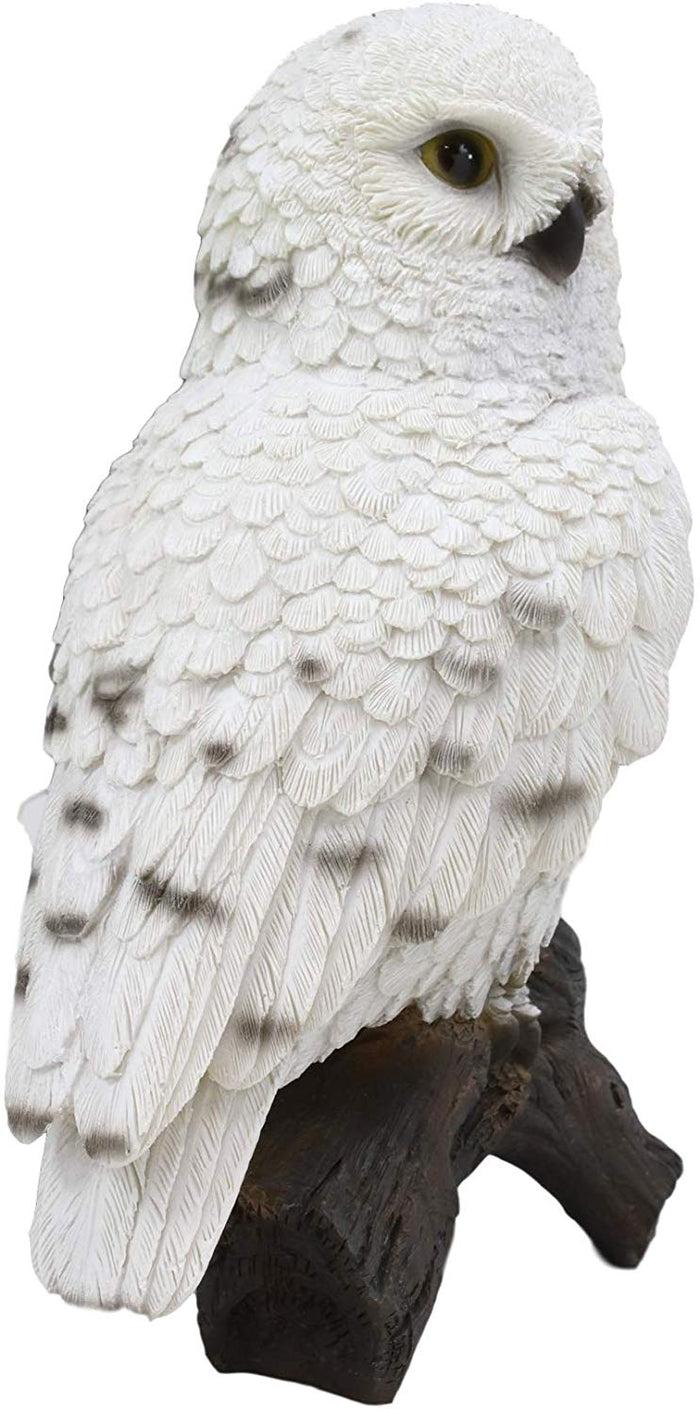 Ebros Gift Ebros Snowy Tundra White Owl Perching On Tree Branch Statue 6.5"Tall Figurine