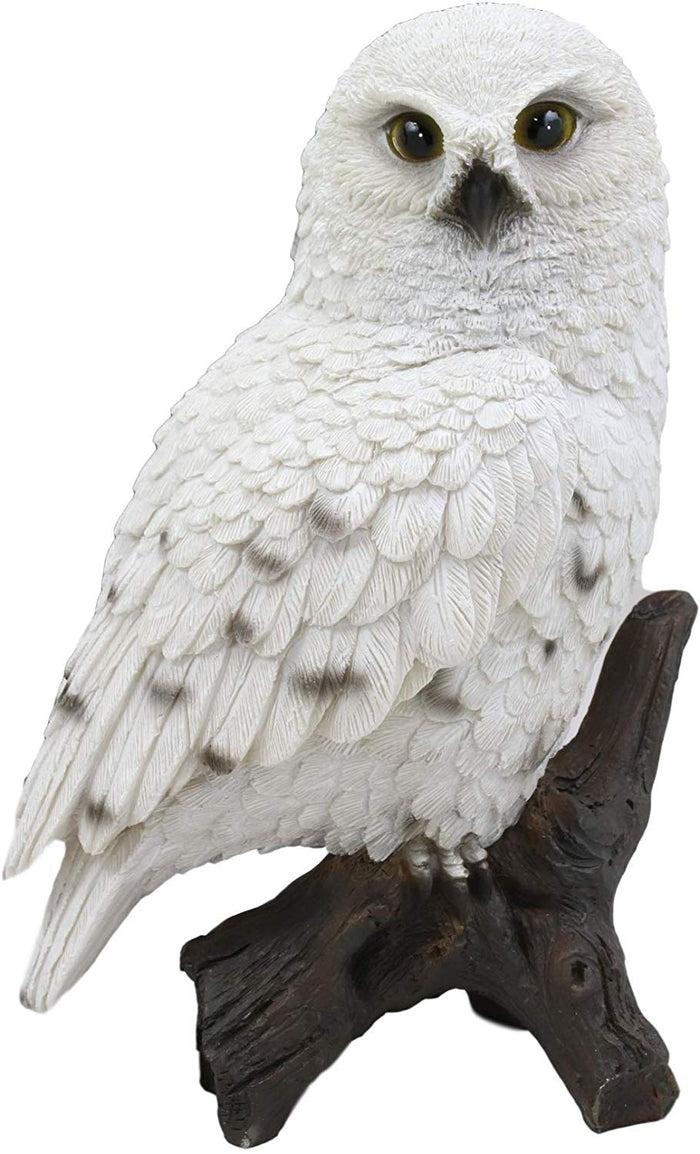 Ebros Gift Ebros Snowy Tundra White Owl Perching On Tree Branch Statue 6.5"Tall Figurine