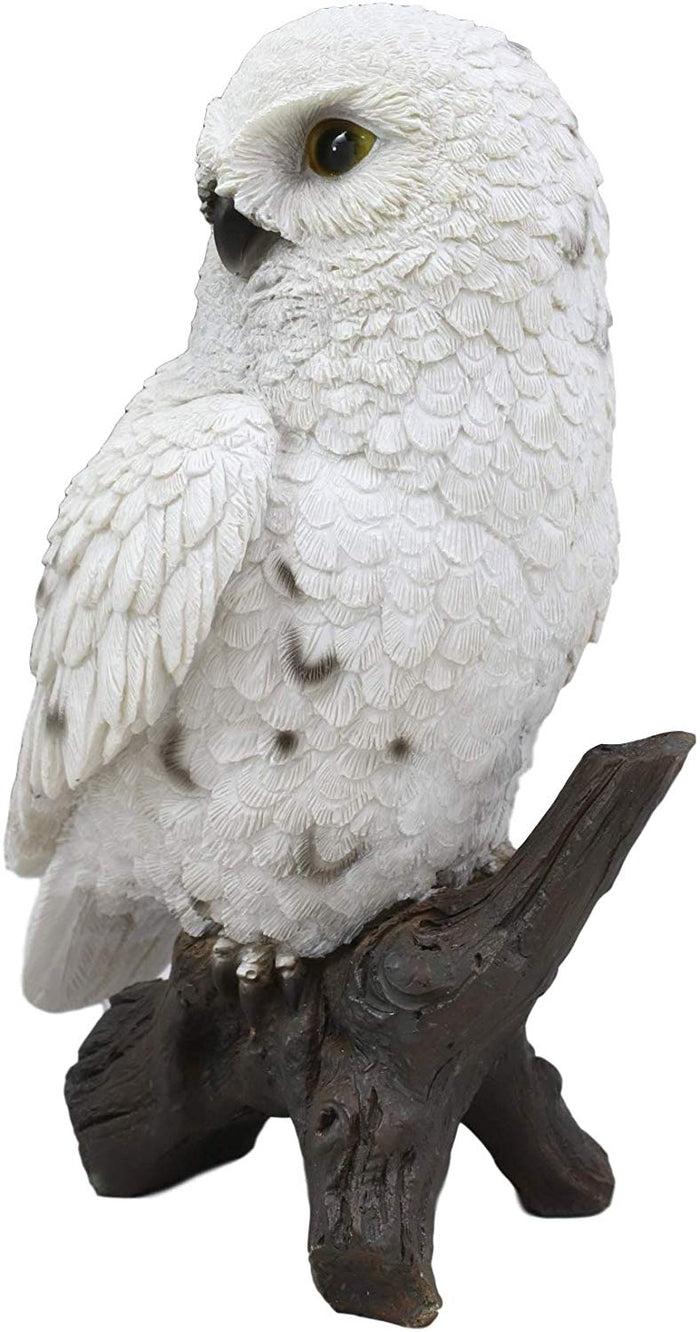 Ebros Gift Ebros Snowy Tundra White Owl Perching On Tree Branch Statue 6.5"Tall Figurine