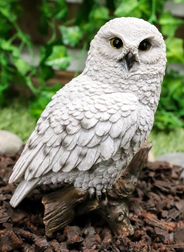 ebros gift Ebros Snowy Tundra White Owl Perching On Tree Branch Statue 6.5"Tall Figurine