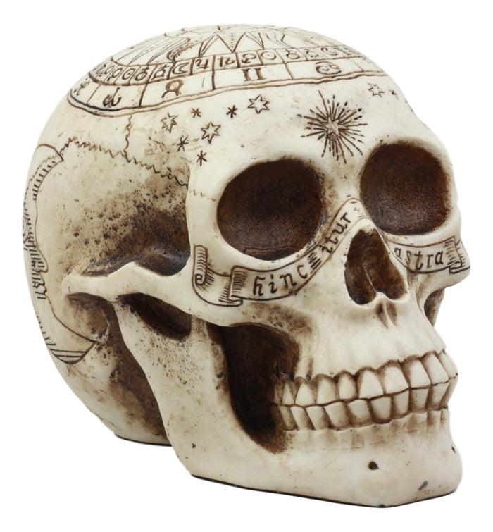 Ebros Gift Ebros Solar Astrology Celestial Skull Statue Cartography Skull Cranium Figurine