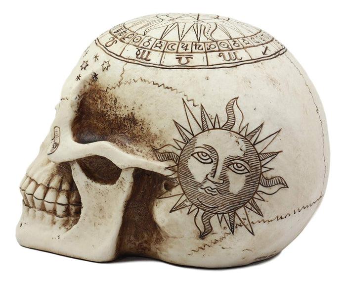 Ebros Gift Ebros Solar Astrology Celestial Skull Statue Cartography Skull Cranium Figurine