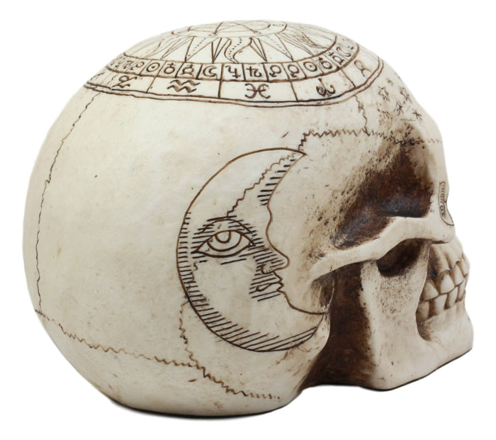 Ebros Gift Ebros Solar Astrology Celestial Skull Statue Cartography Skull Cranium Figurine