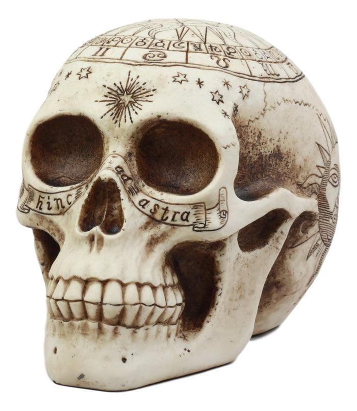 ebros gift Ebros Solar Astrology Celestial Skull Statue Cartography Skull Cranium Figurine