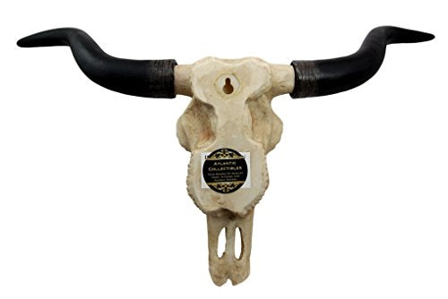 Ebros Gift Ebros Texas Longhorn Steer Cattle Cow Skull Wall Hanging Plaque Figurine 21"L