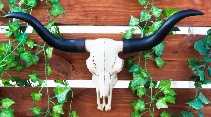 ebros gift Ebros Texas Longhorn Steer Cattle Cow Skull Wall Hanging Plaque Figurine 21"L