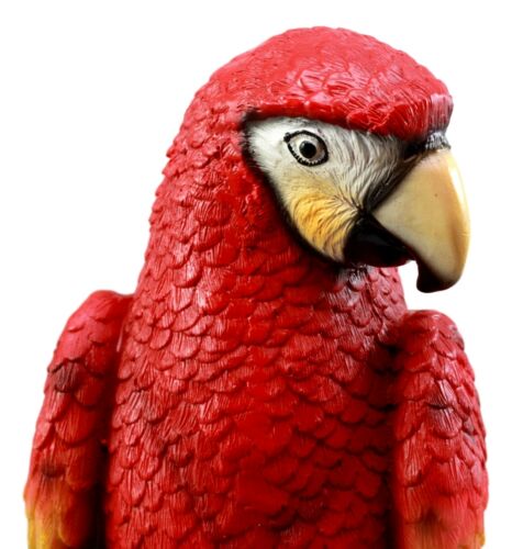 Ebros Gift Ebros Tropical Rainforest Paradise Bird Scarlet Macaw Parrot Perching On Branch Statue
