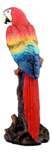Ebros Gift Ebros Tropical Rainforest Paradise Bird Scarlet Macaw Parrot Perching On Branch Statue