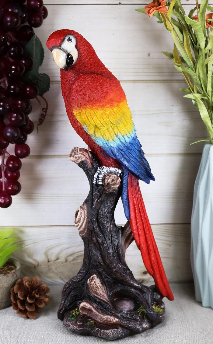 ebros gift Ebros Tropical Rainforest Paradise Bird Scarlet Macaw Parrot Perching On Branch Statue