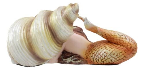 Ebros Gift Ebros Under The Sea Young Mermaid Resting By Snail Sconce Shell Figurine