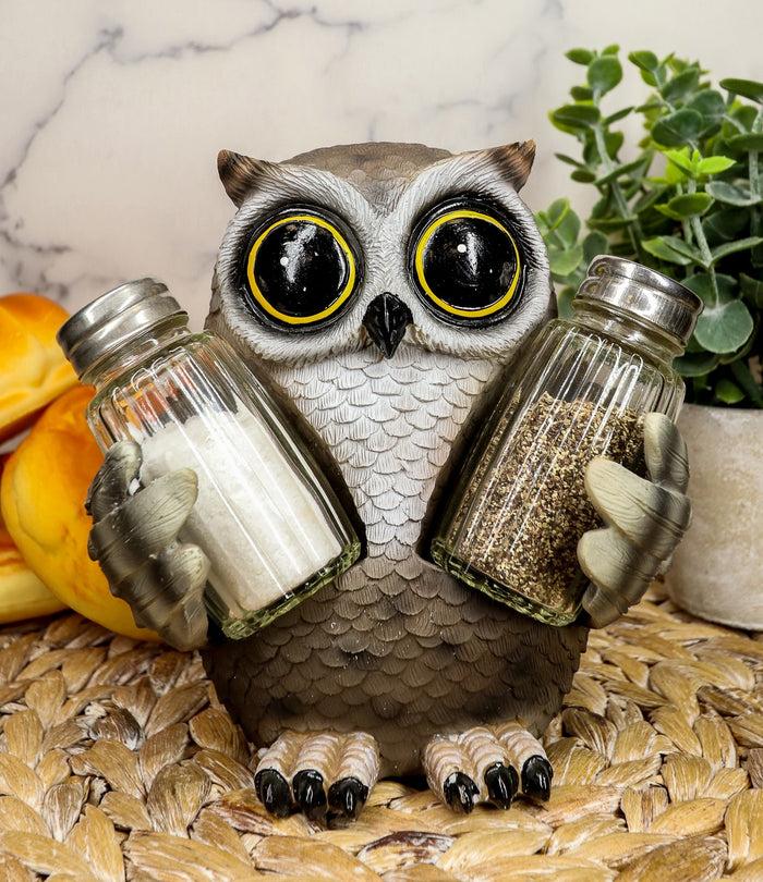 ebros gift Ebros Whimsical Owlet Baby Owl W/ Big Round Eyes Glass Salt & Pepper Shakers Set