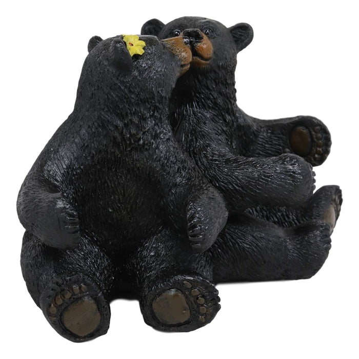 Ebros Gift Ebros Whimsical Valentines Black Bear Couple Kissing Figurine Holder With Glass Salt And Pepper Shakers Romantic Bears Rustic Home And Kitchen Dining Decorative Statue Cabin Lodge Mountainside Decor