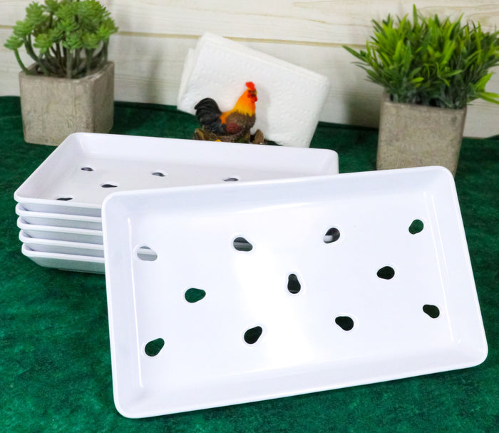 ebros gift Ebros White Neta Zara Sushi Sashimi Plate With Drip Holes 8.75"L x 5"W PACK OF 8
