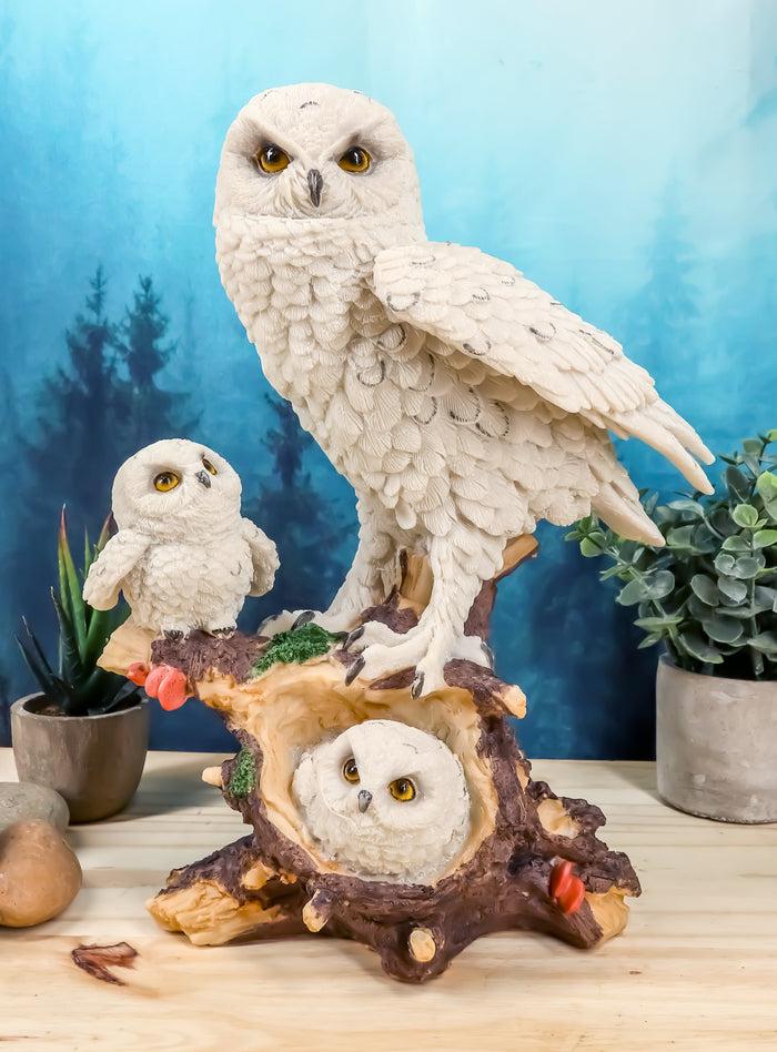 ebros gift Ebros White Owl Perching On Tree Branch With Baby Owlets Statue 12"Tall