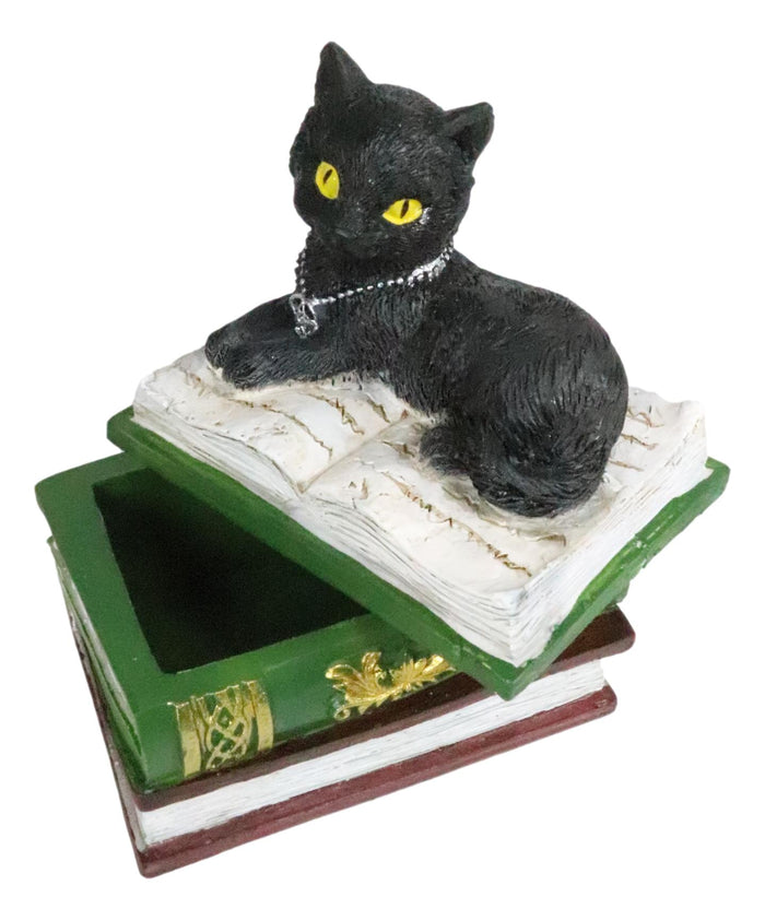 Ebros Gift Ebros Wiccan Black Cat Pentagram Star Green Book Of Spells Box Figurine