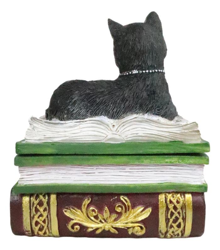 Ebros Gift Ebros Wiccan Black Cat Pentagram Star Green Book Of Spells Box Figurine