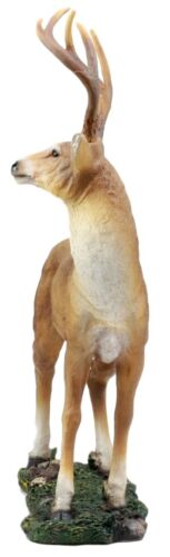 Ebros Gift Ebros Wildlife 8 Point Trophy Buck Statue 15"H Outdoor Hunter Whitetail Deer Figurine