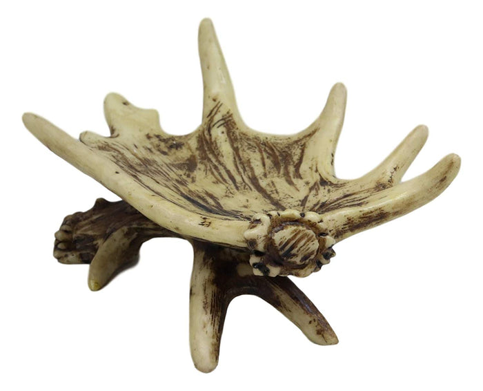 Ebros Gift Ebros Wildlife Rustic Buck Elk Deer Stag Antlers Bar Soap Dish Holder 6" Wide Nature Lovers Hunters Cabin Lodge Country Bathroom Vanity Decorative Antler Accent