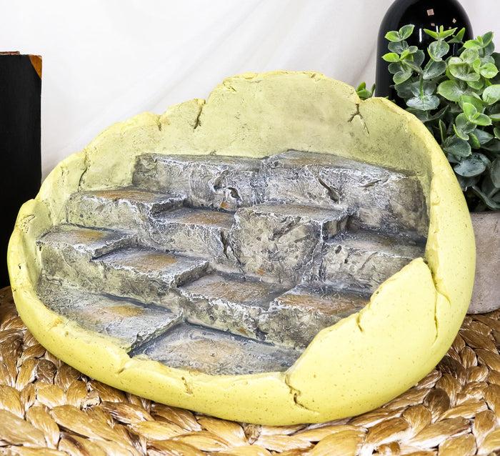 Ebros Gift Ebros Wyrmling Dragon Hatchling Cracked Egg Miniature Display Stand With Rocky Steps Figurine As Decorative Housing For Miniature Dragons Sculptures Medieval Fantasy Alchemy Decorative Statue